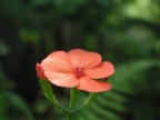 P8210417