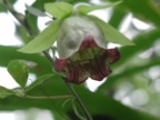 P8210421
