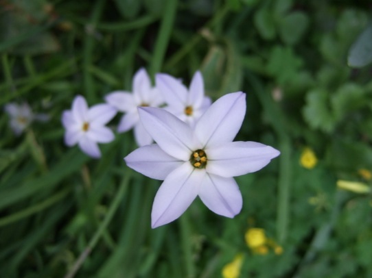 DSCF3569