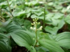 DSCF1574