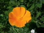 DSCF1830
