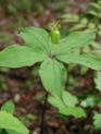 P5201756
