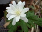 DSCF0189