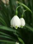 DSCF3776